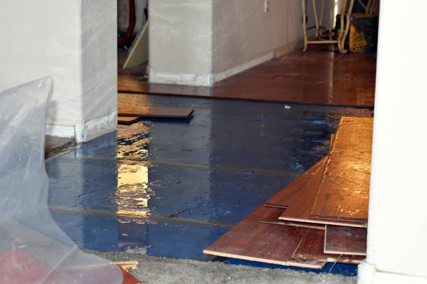 Professional Water Damage Restoration technician working in Davenport, FL